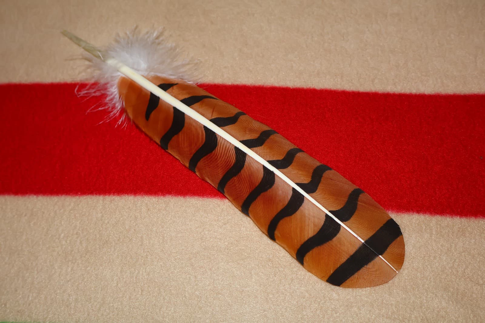 Native American hand painted Red-Tailed Hawk Feather