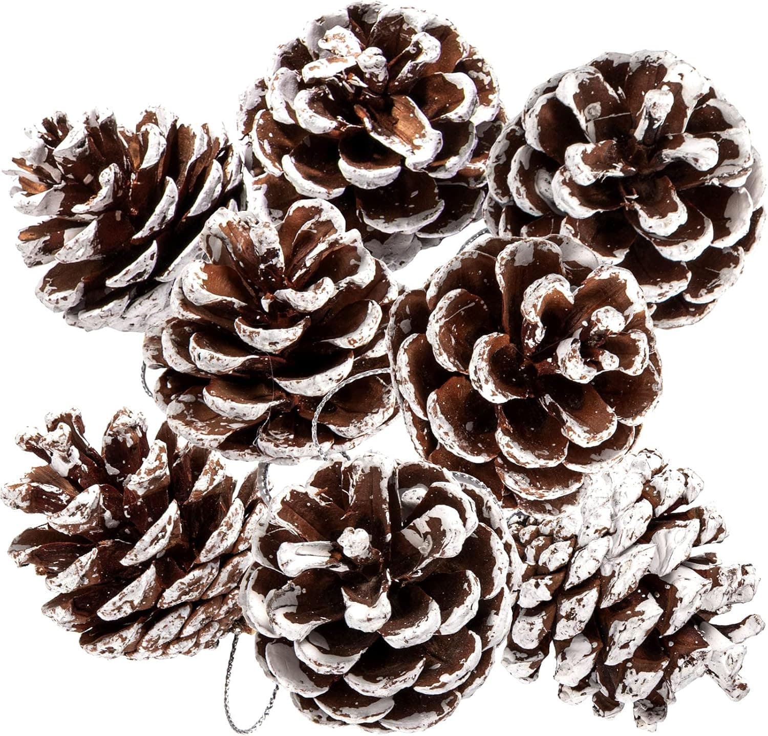 25 Natural Pine Cones with String for Holiday Decorations - 1.6-2 Inch, 25 Pcs