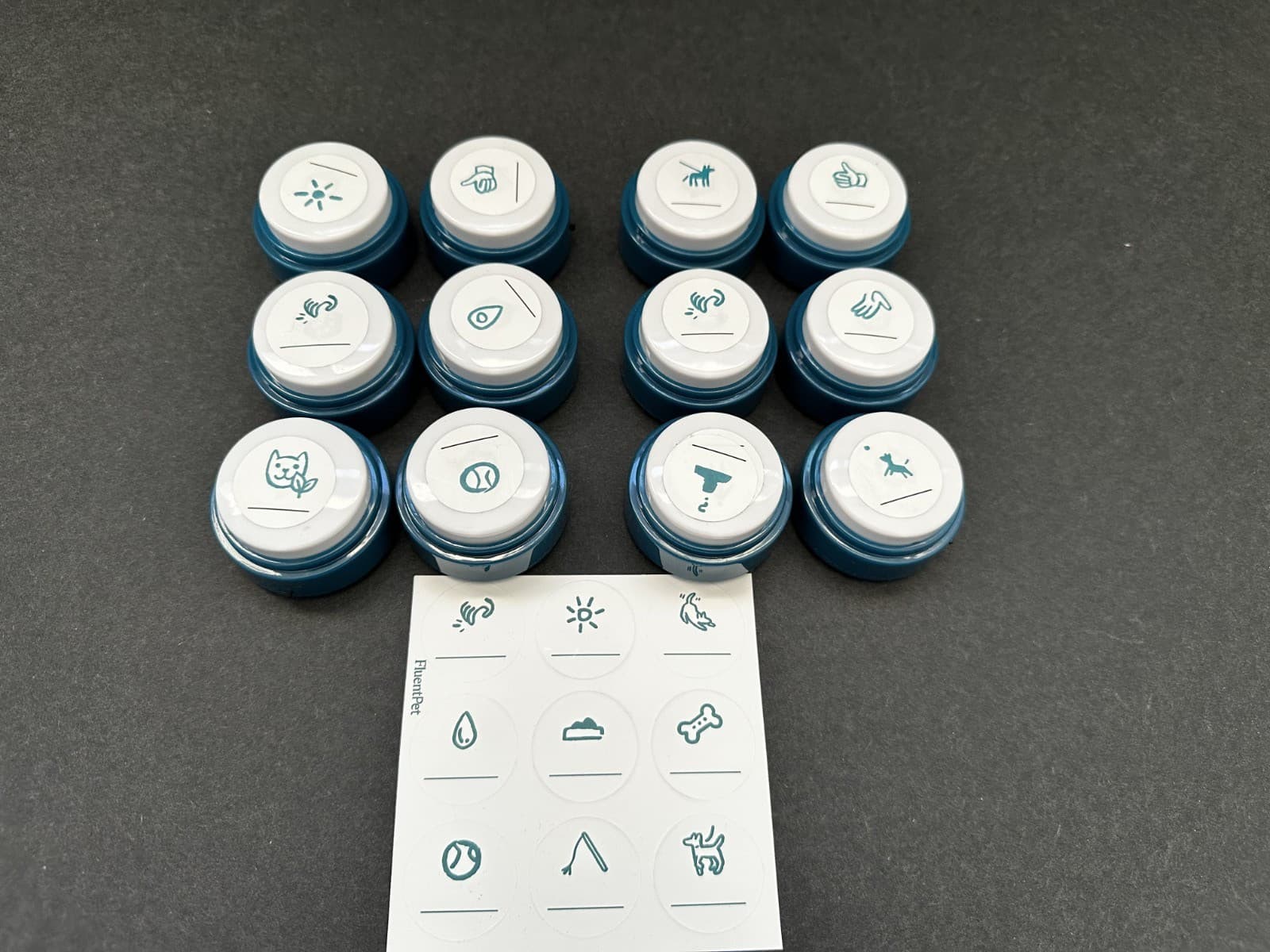 FluentPet Basic Buttons - Set of 12 - Open Box - Recordable - Used 4