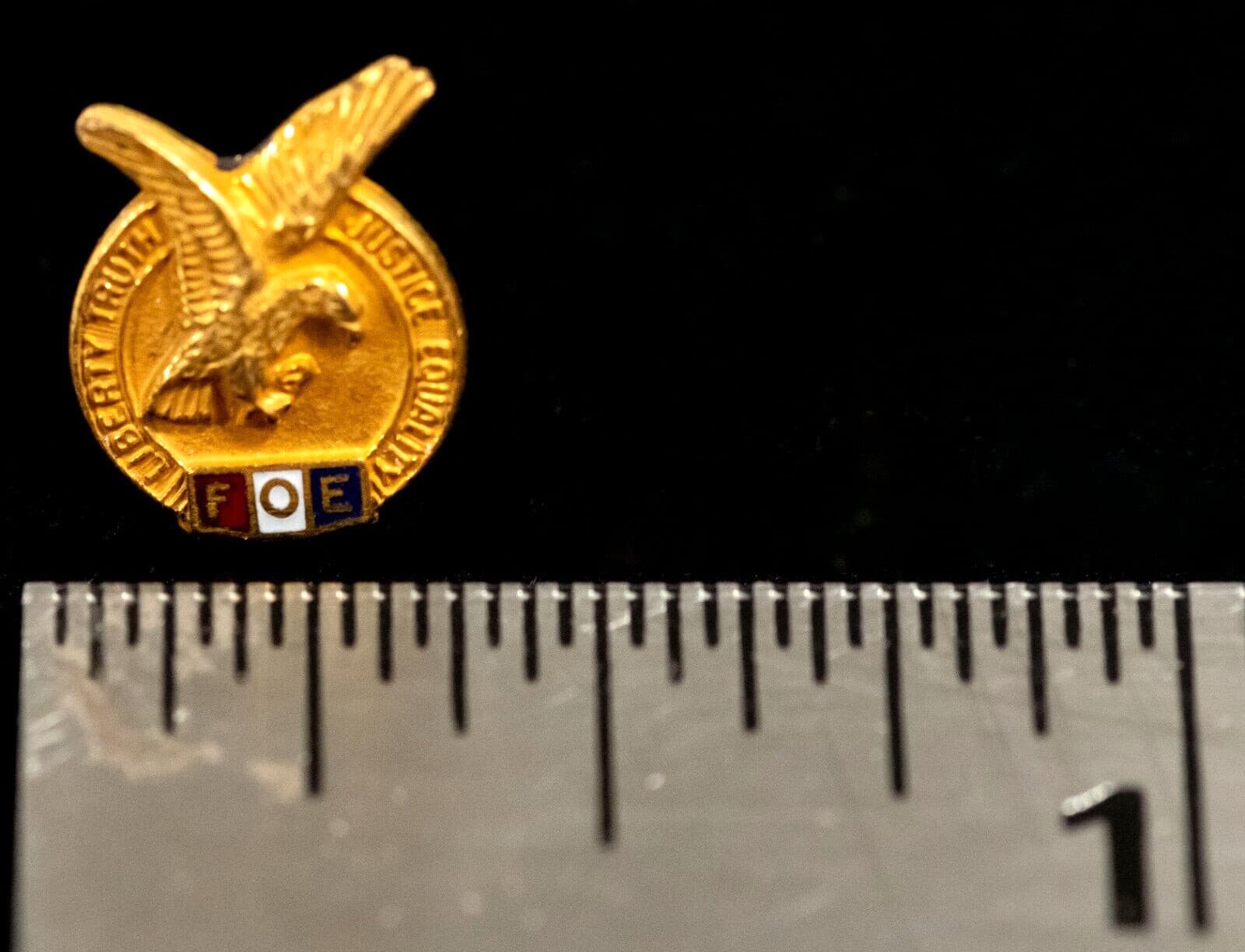 Vintage FOE Lapel Pin Fraternal Order of Eagles Bastian Bros Screw Back    S1 4