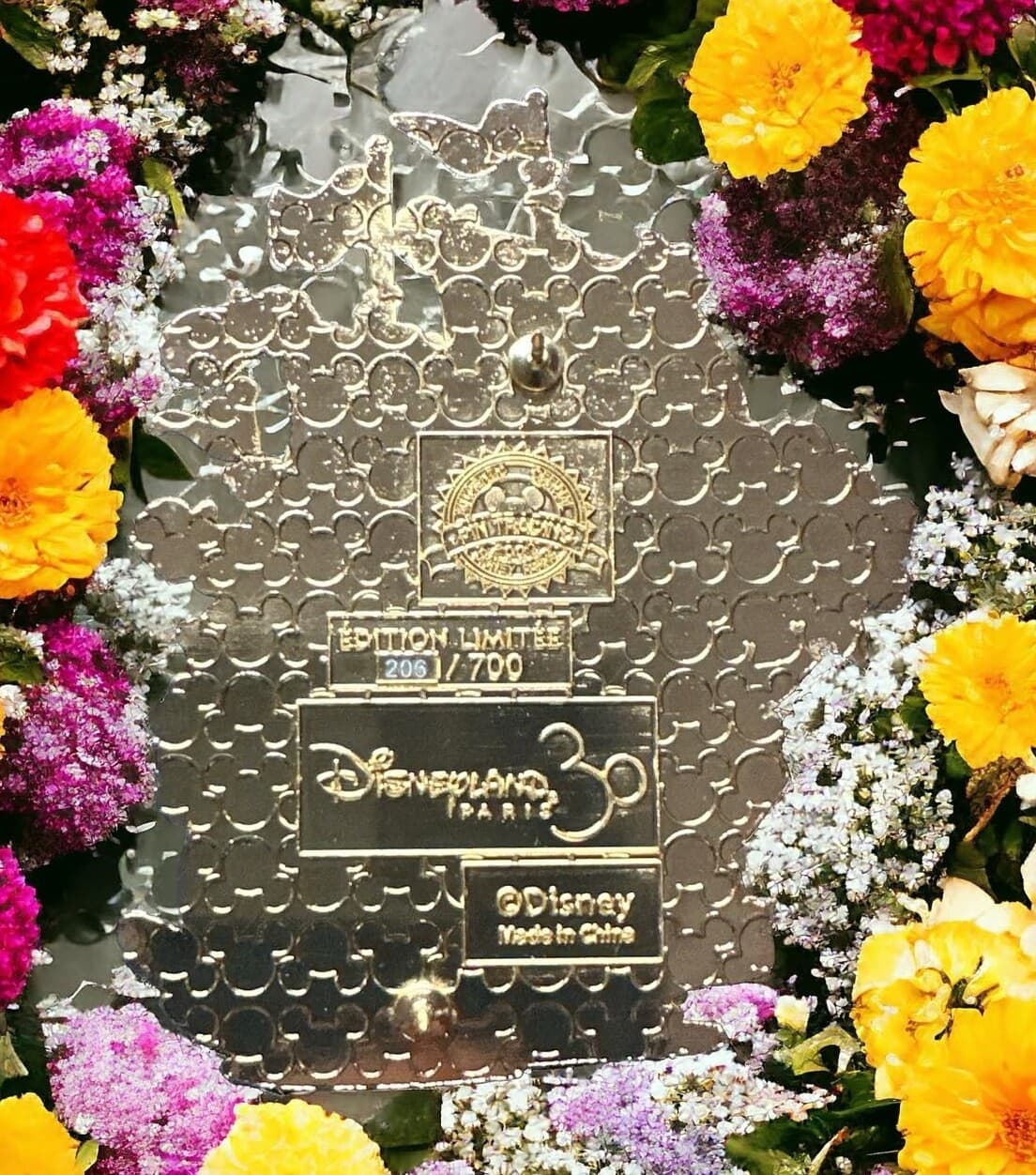 Disneyland Paris - Printemps (Spring) 2022 Pin - Tinker Bell (Peter Pan) 3