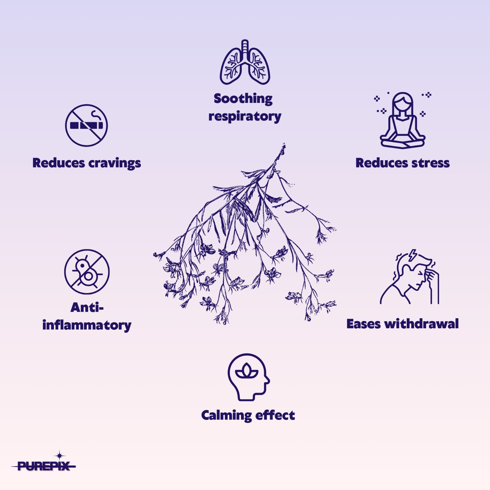 Quit Smoking Aid Premium Extra Thick Boosting Flavored Toothpicks with Lobelia 5