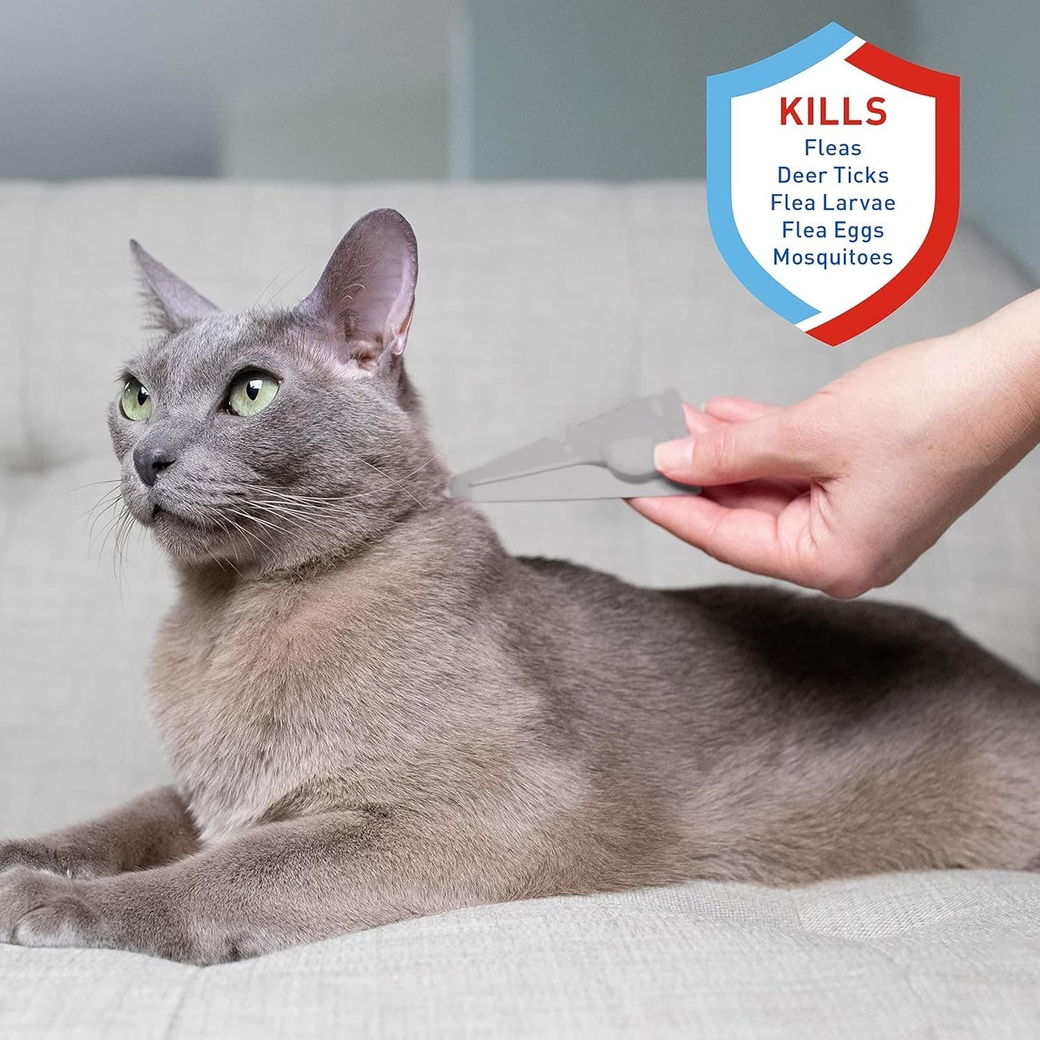 Adams Plus Flea & Tick Spot On for Cats Over 2.5 lbs but Under 5 Pounds 3 Month 3