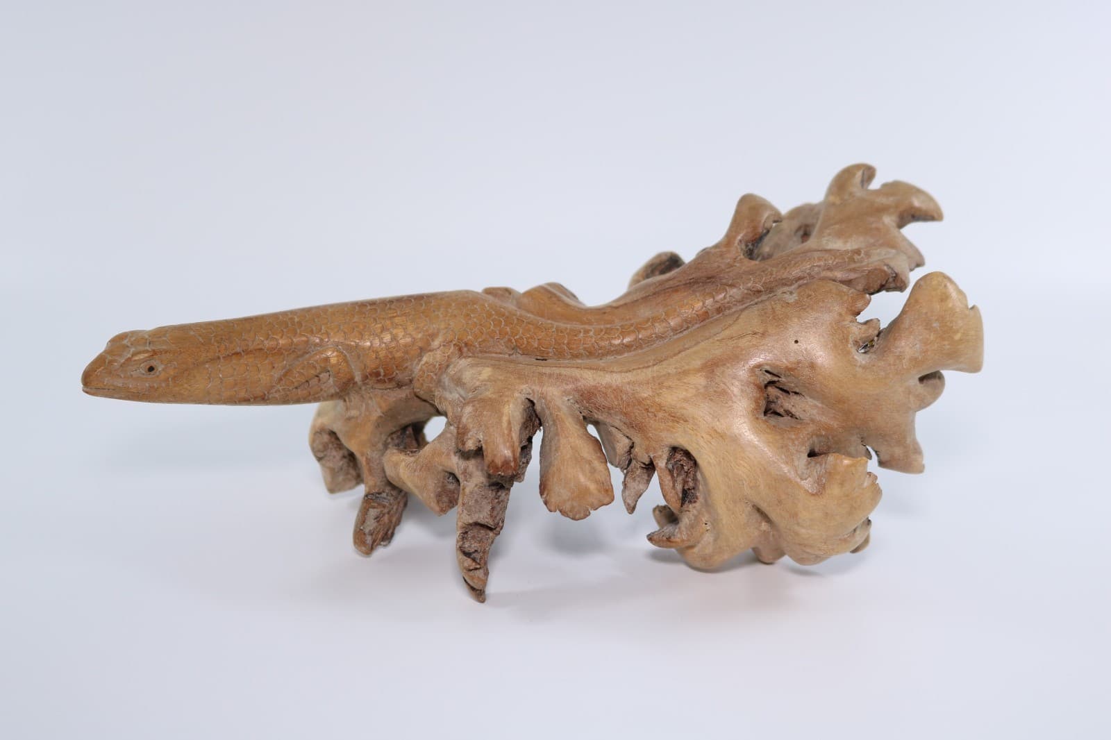 Hand-carved burl wood Komodo Dragon lizard sculpture Indonesia Artisans COA 7063 3