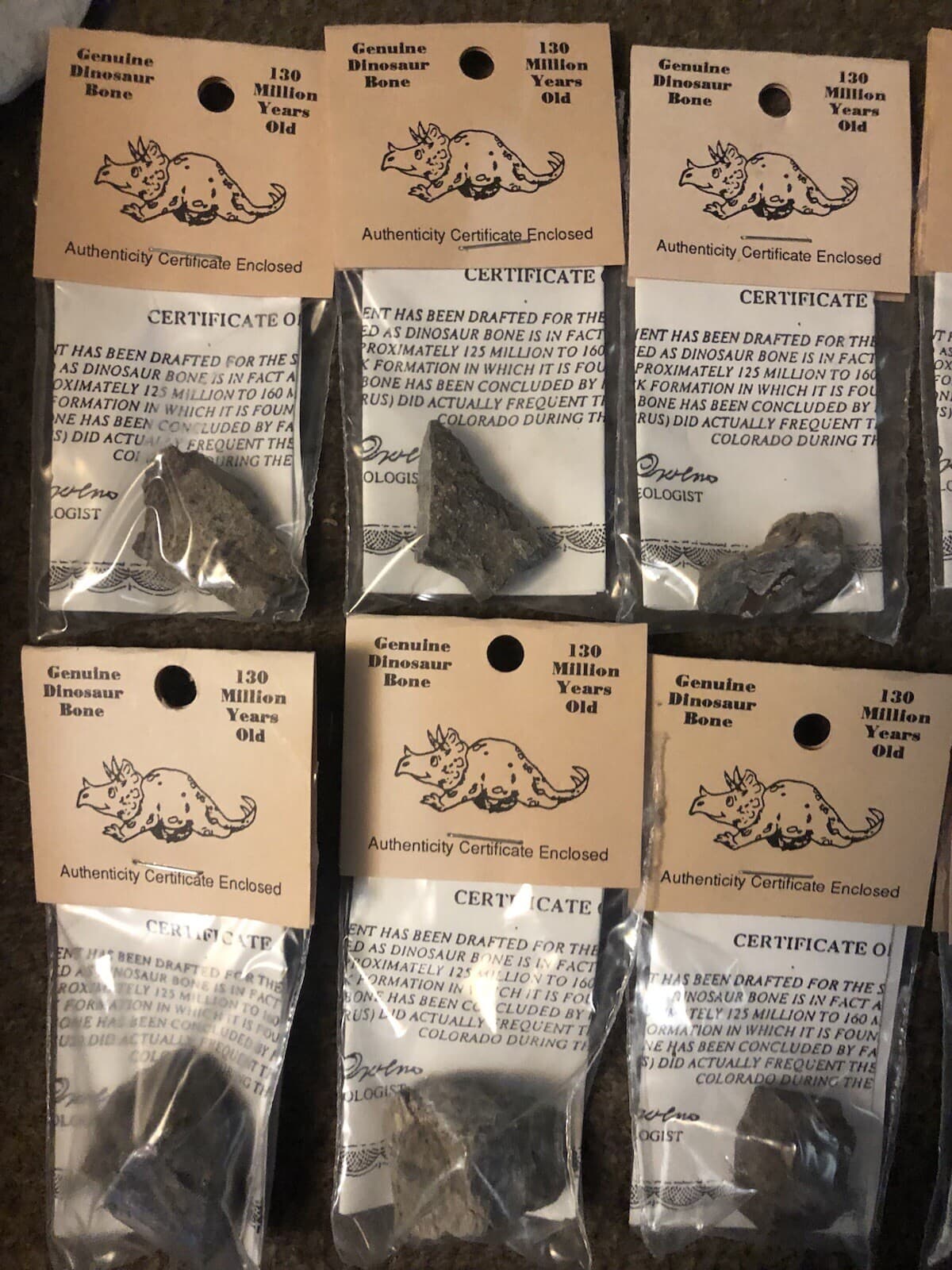 GENUINE DINOSAUR BONE SPECIMEN AUTHENTICITY CERTIFIED Collectors Fossil 3