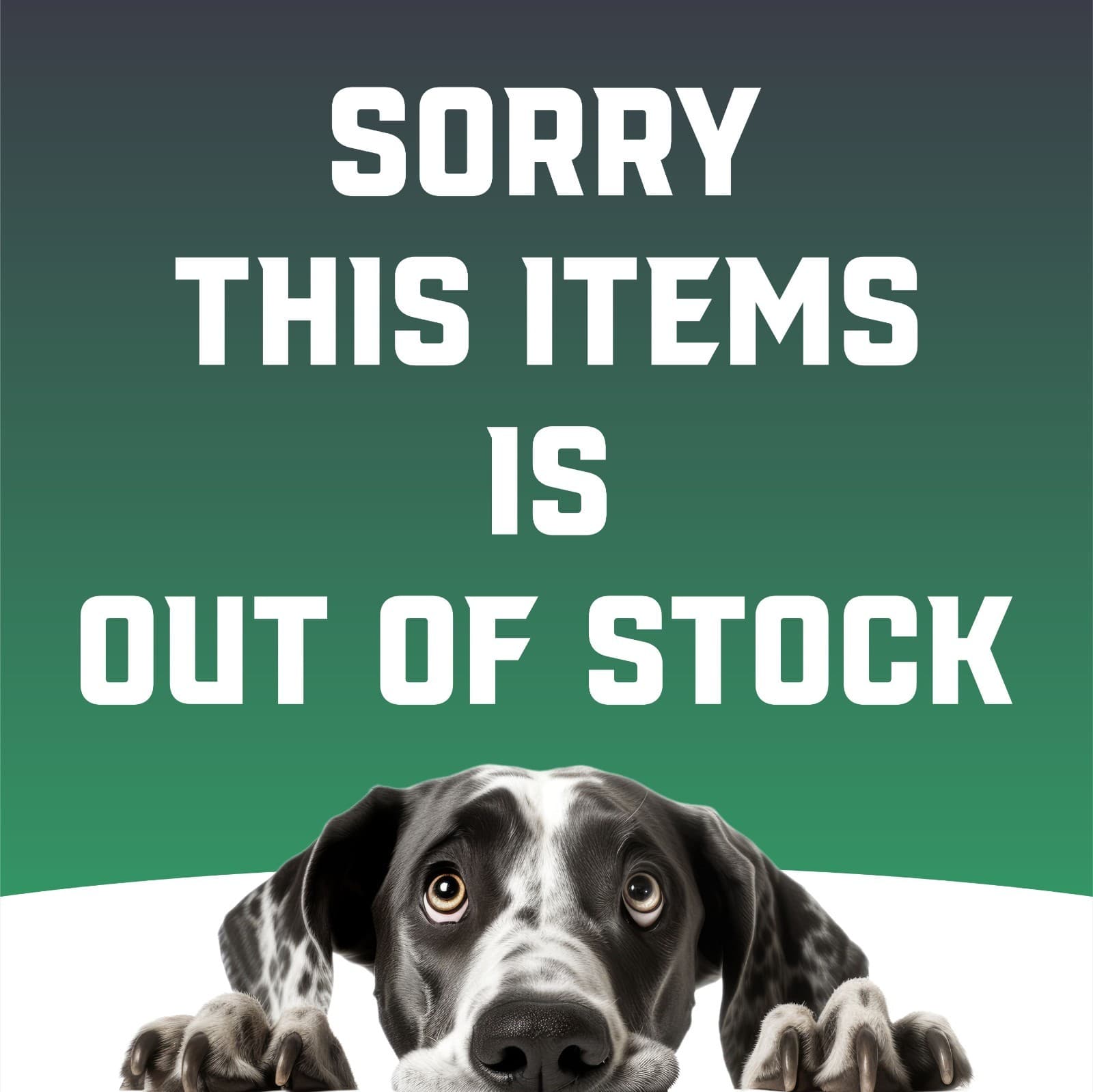 Portable Digital Luggage Scale – Travel Weight Scale for Suitcase 110lb Capacity