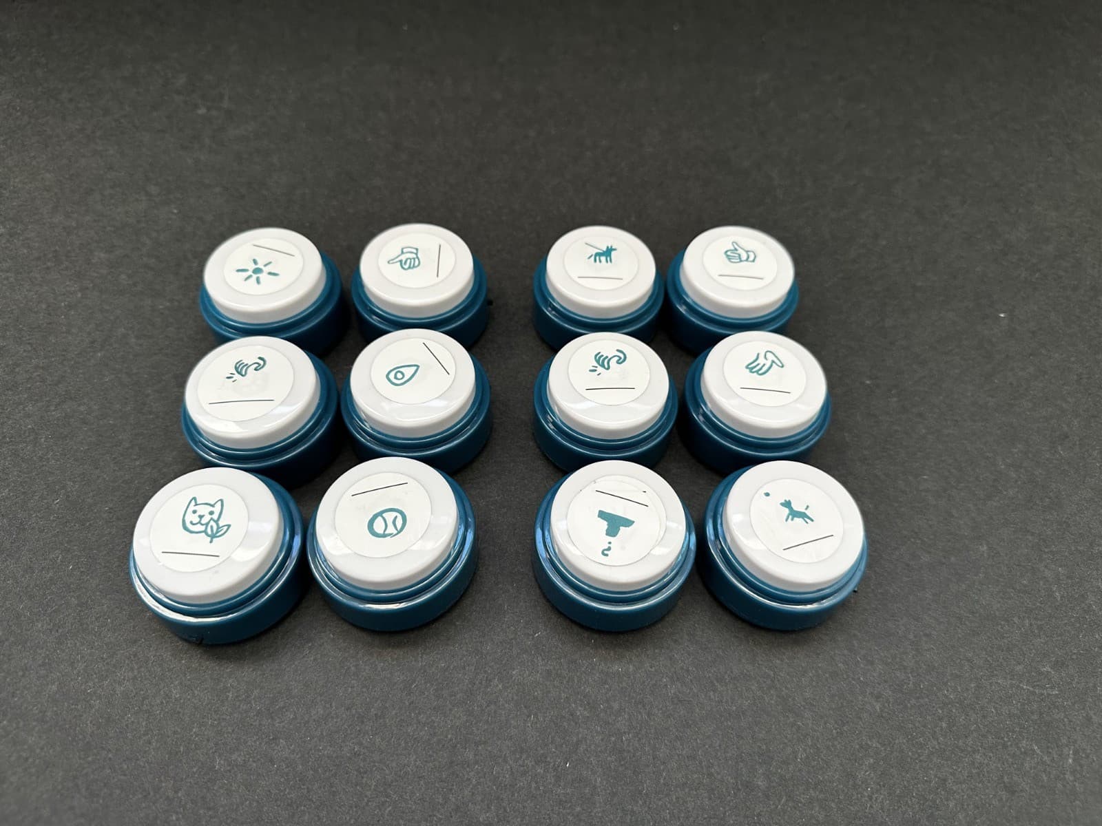 FluentPet Basic Buttons - Set of 12 - Open Box - Recordable - Used 3