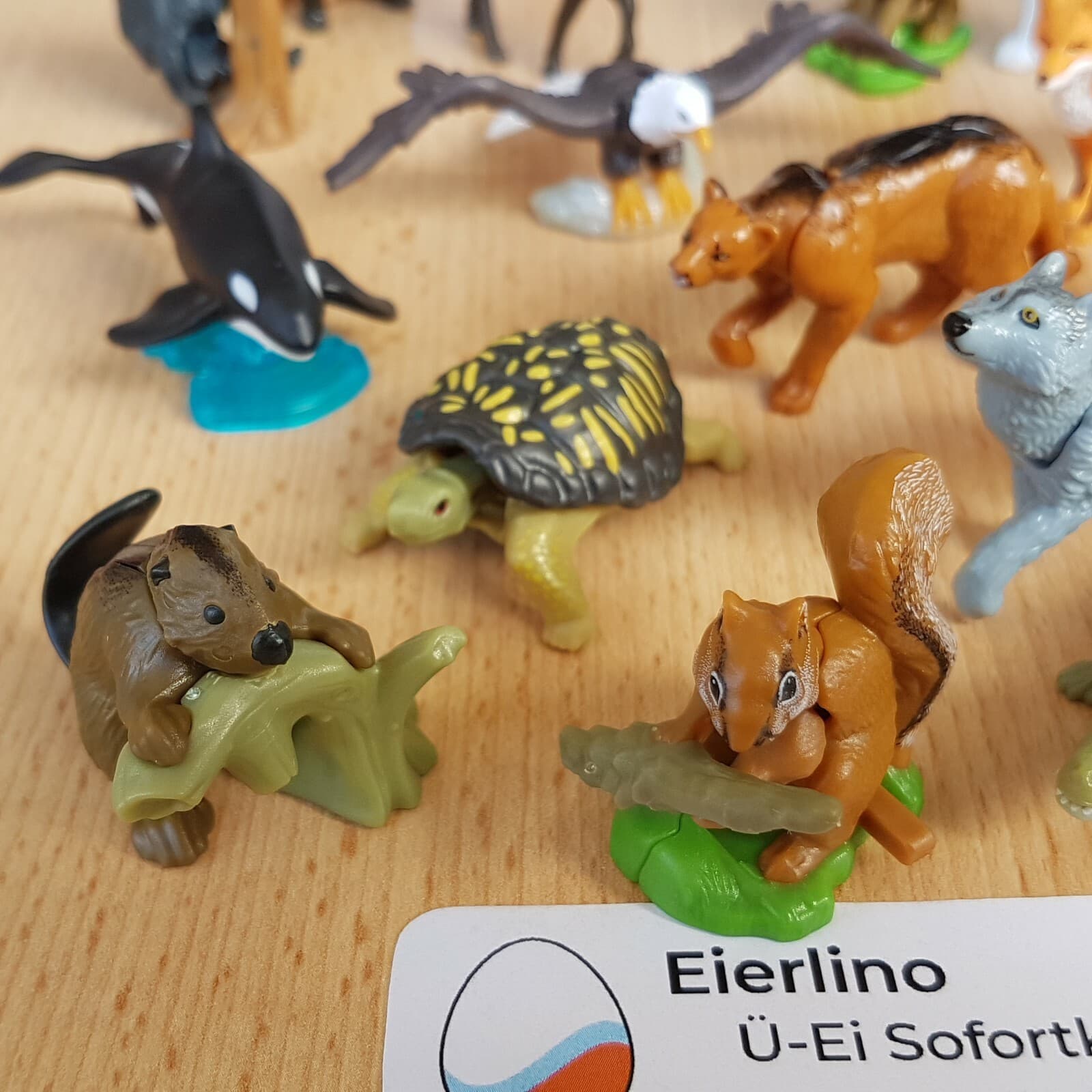 TOP KINDER SURPRISE SET Natoons Wildlife Animals of North-America 1.3" figurines 2