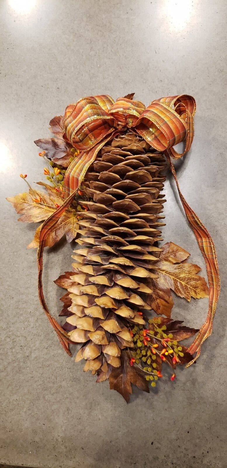 (2) Medium Sized - Sugarpine cones from Northern California Tahoe area FREE ship 5