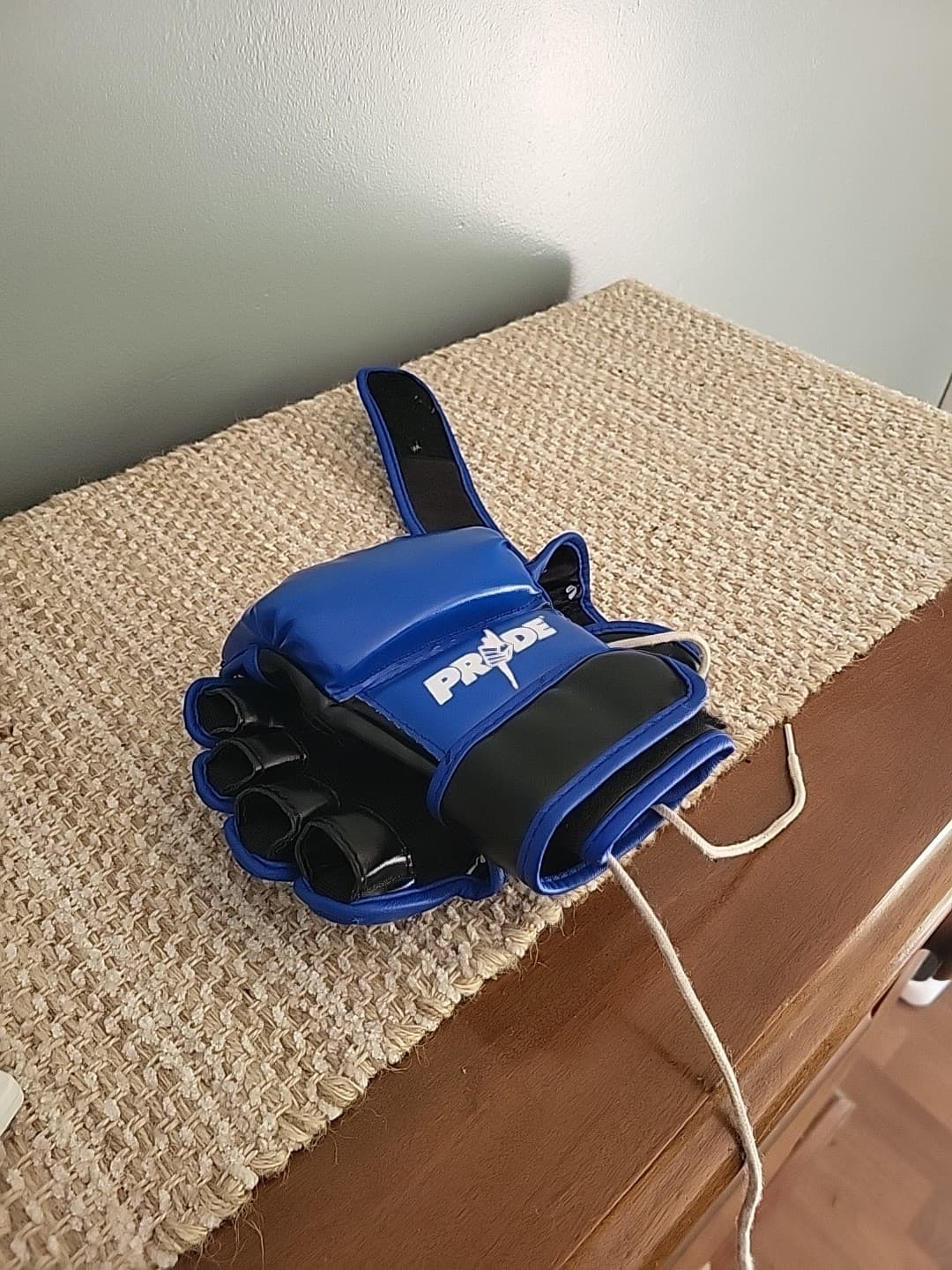 Pride FC Pair Of Gloves Replica 3