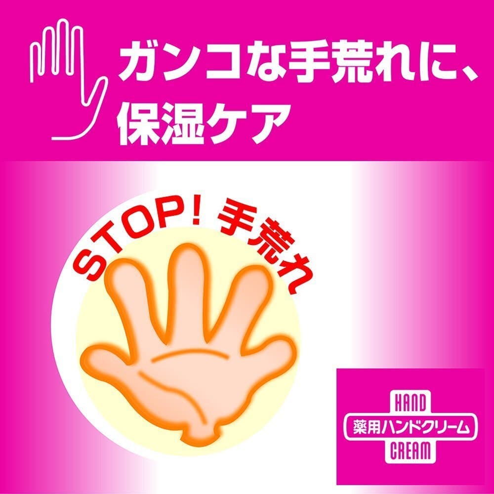 Two Shiseido Medicated Hand Cream More Deep 100g 4