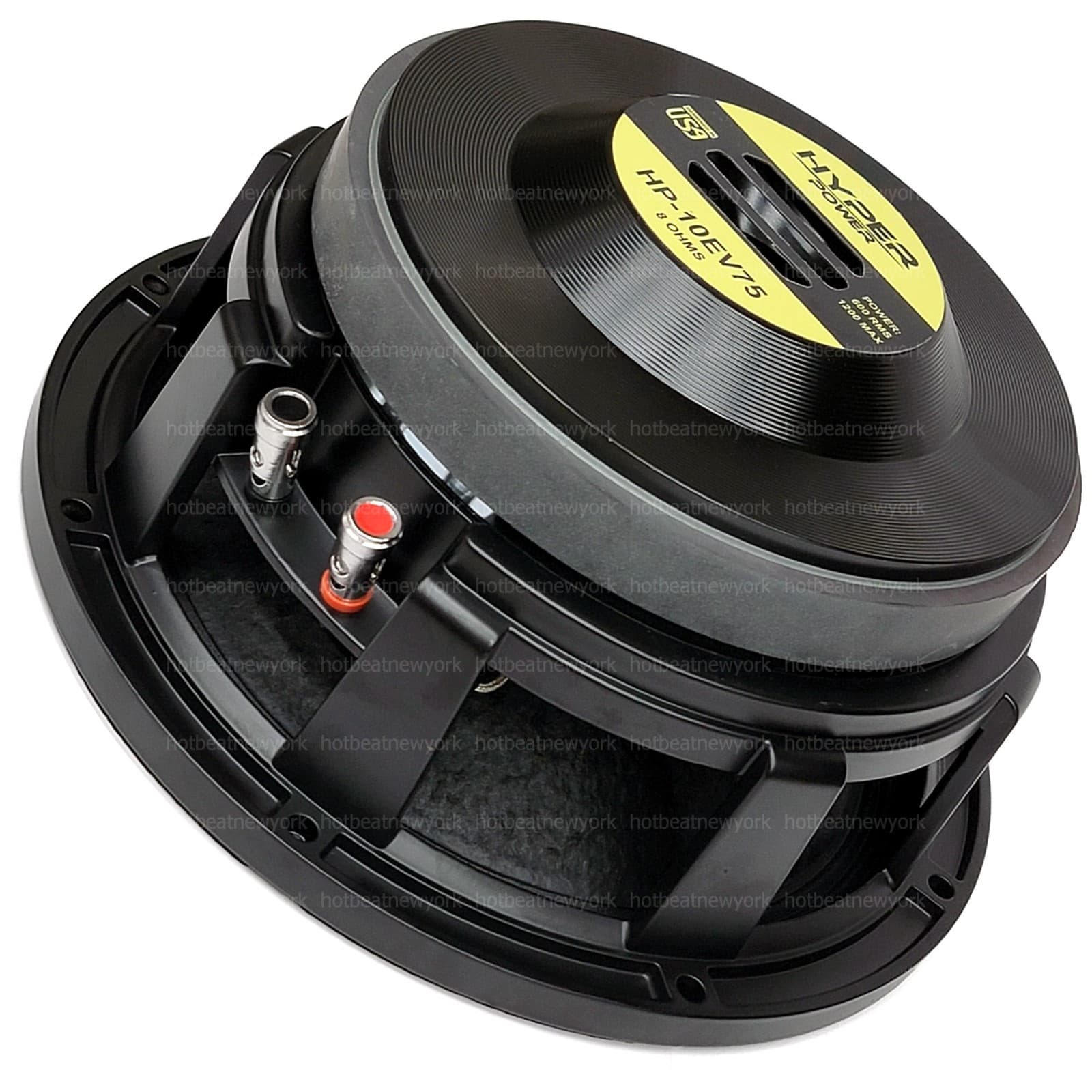 Replacement Woofer for EVM10DLX 10" 600-Watts RMS 8-ohm Speaker Driver HP-10EV75