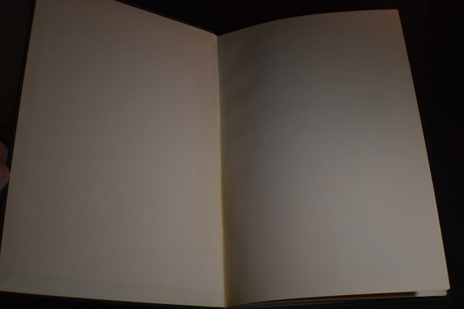 Gainesway Farm Yearlings 1969 2