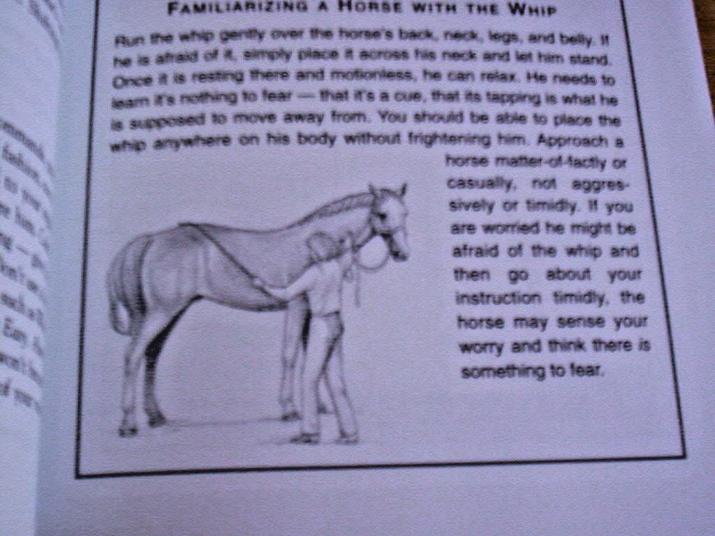 Storey's Guide to Training Horses Ground Work Driving Riding English Western 5