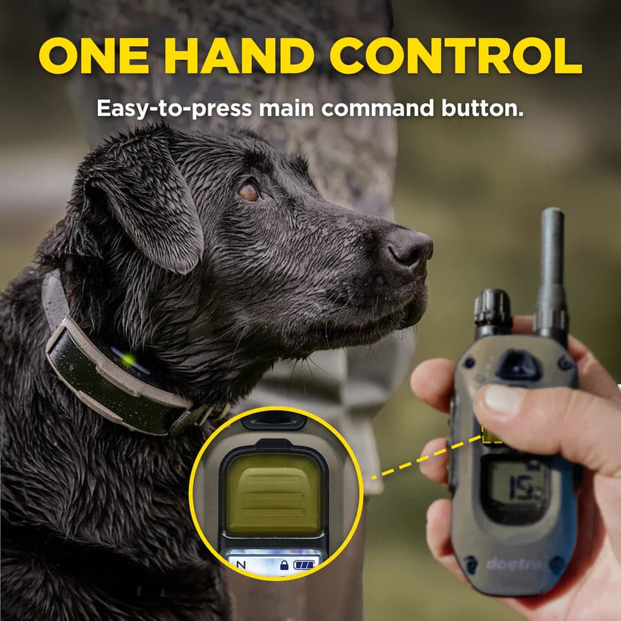 Dogtra 1902X 2 Dog Trainer + HANDSFREE PLUS Square, 3/4 Mile Range, Boost and XP 5