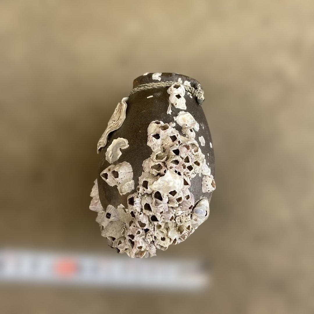 Japanese Ceramic Octopus Pot “Takotsubo” w/ Seashell VTG Japan 6