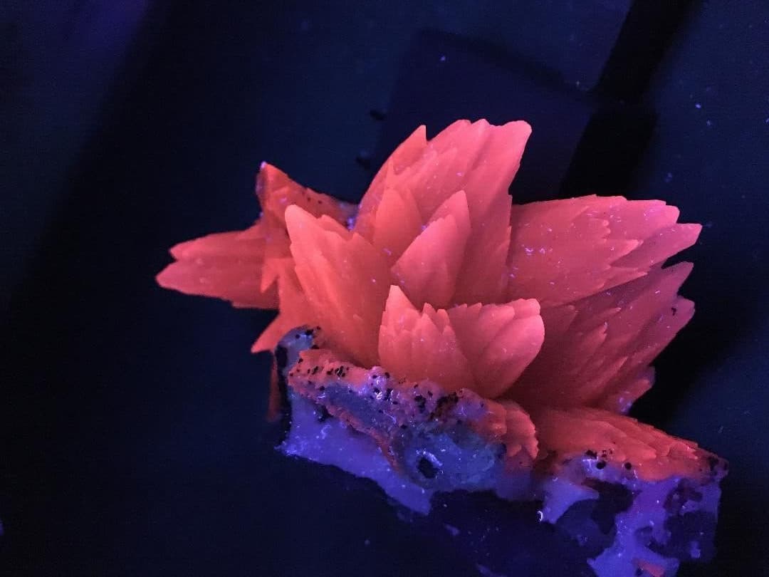 KB: GREAT!!!! SW FL. RED CALCITE XLS. ON MATRIX, IRAI, RIO GRANDE DO SUL, BRAZIL 6