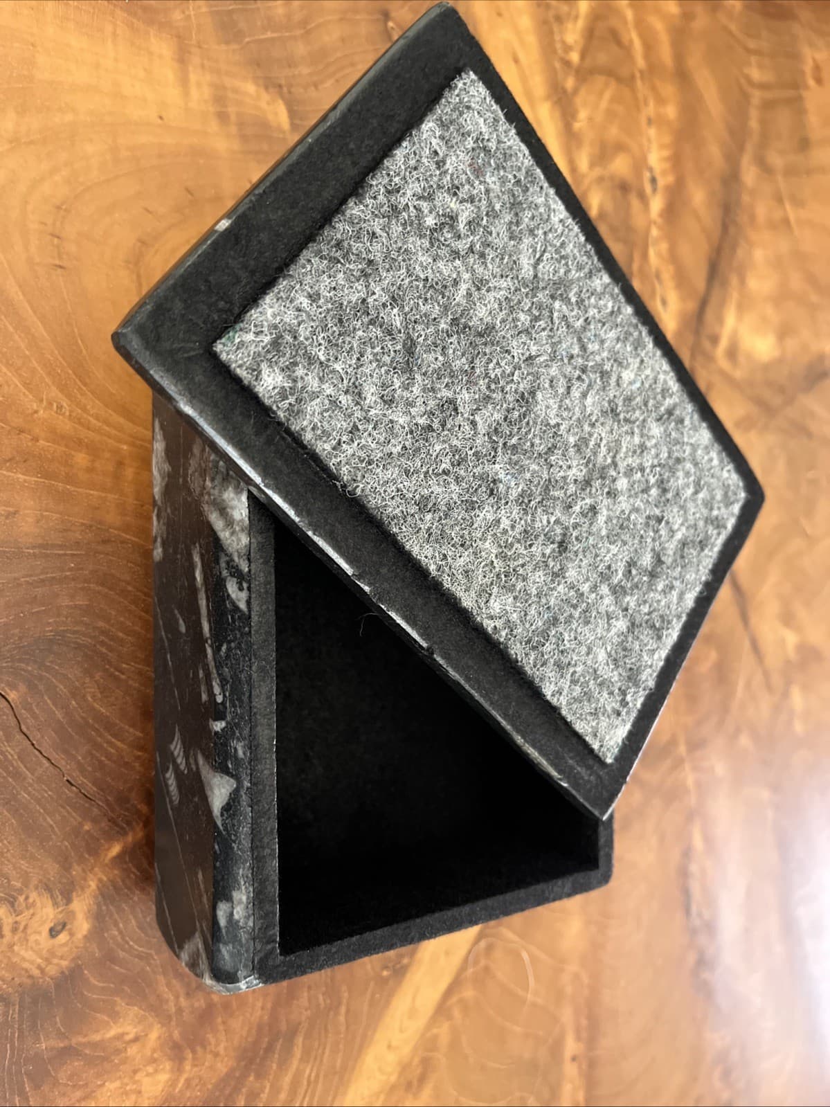 Display Box with 400 Million Years ORTHOCERAS and Ammonite Shell Fossils 3