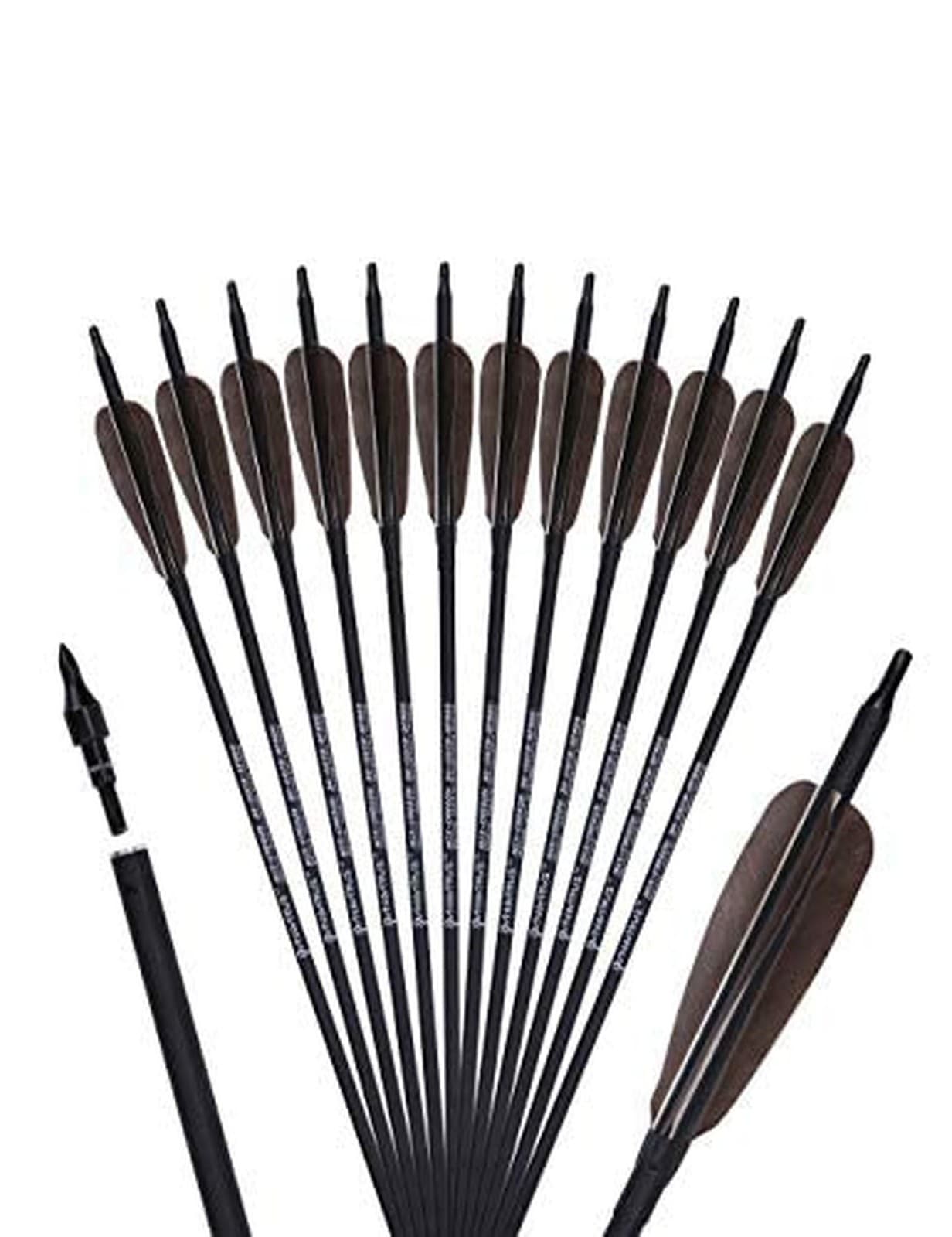 Archery 31-Inch Carbon Hunting Arrows, Turkey Feather Fletching with Replacea...