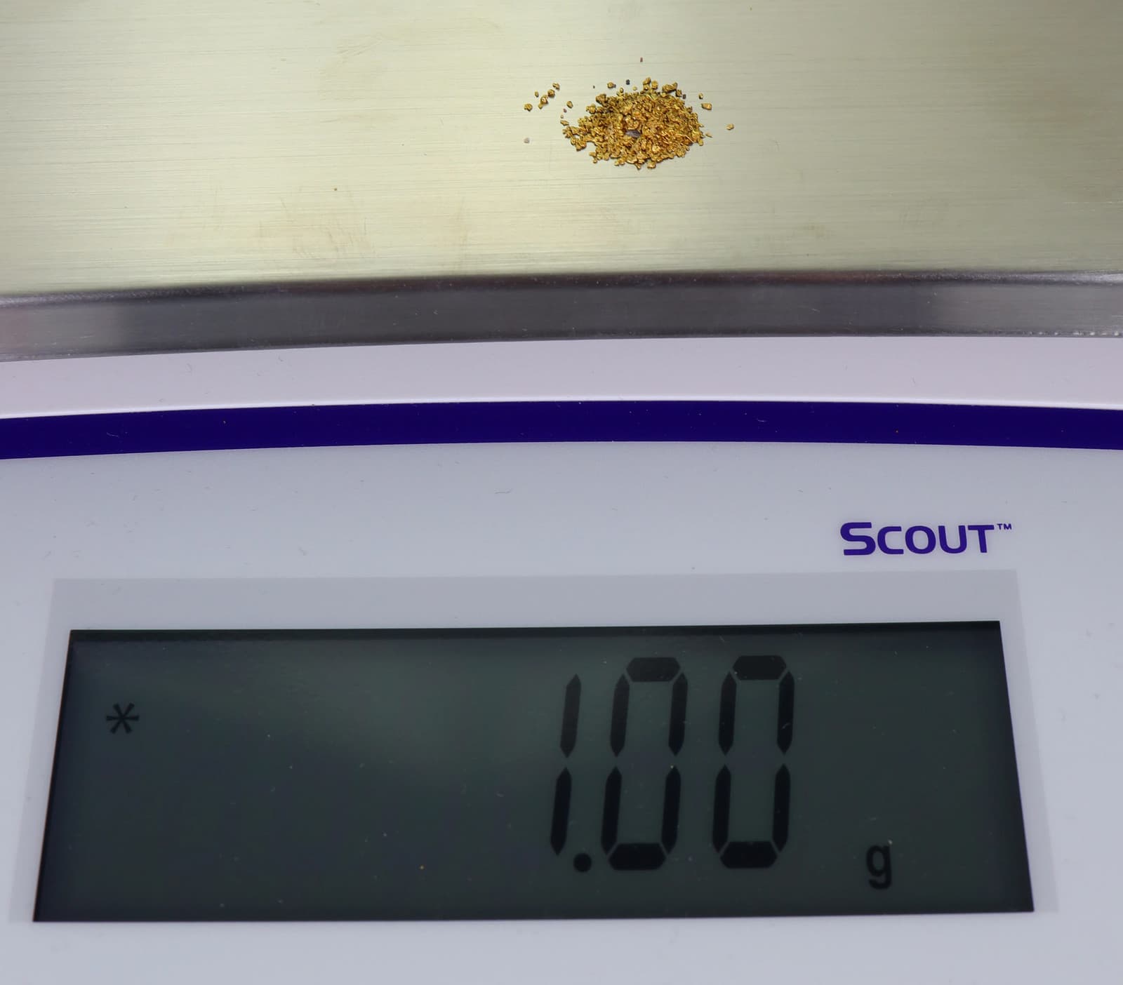 Todd Hoffman's Mammoth Valley Gold Rush Nuggets #50-30 Mesh 1 Gram of Fines 3