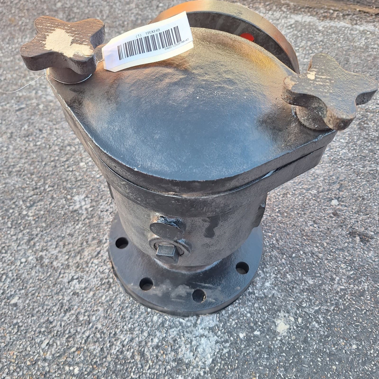 0400-125SFIM-42 SSI Strainer: 4 in, 12 13/16 in Lg, FF Flange, 20 mesh 3