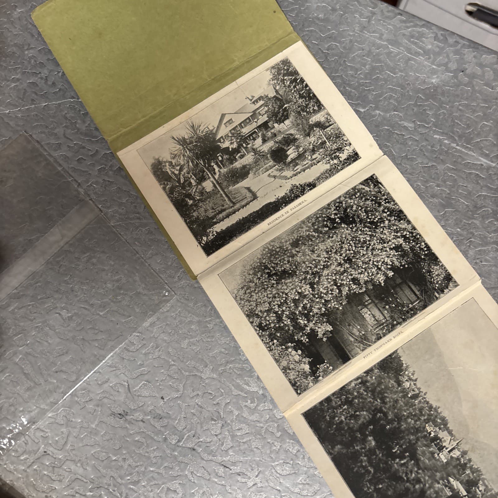 Vistas de Pasadena 1904 Photobook Of Pasadena Mt. Lowe Railway Los Angeles 3