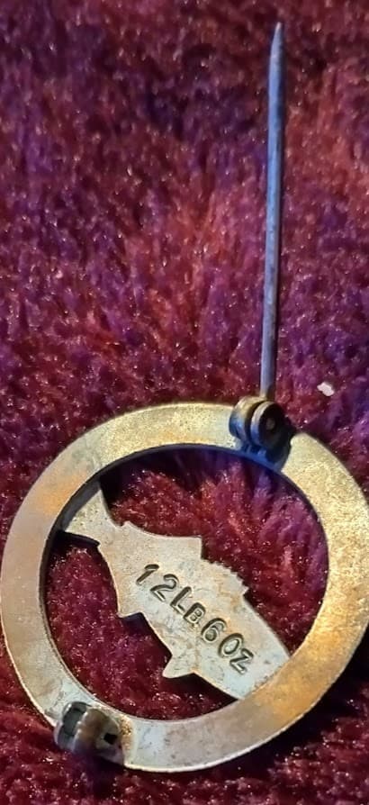 Field & Stream Copper Fishing Honor Badge vtg Award Pin 12 lb 6oz blueFish 4