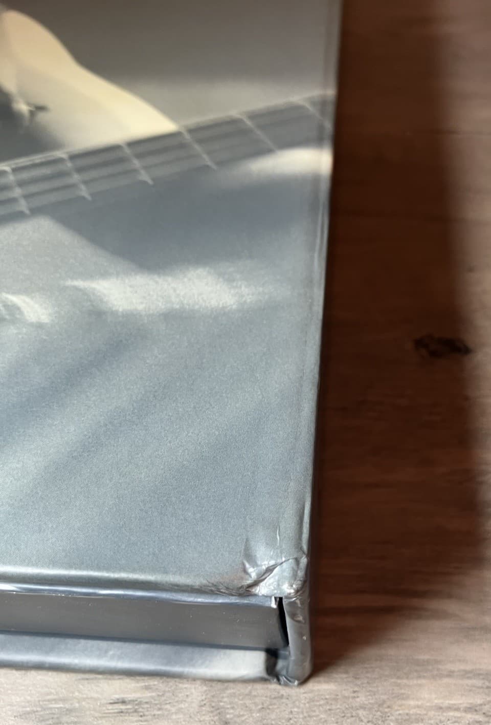 To Defy the Laws of Tradition : A Photographic Archive of Primus & Les Claypool 6