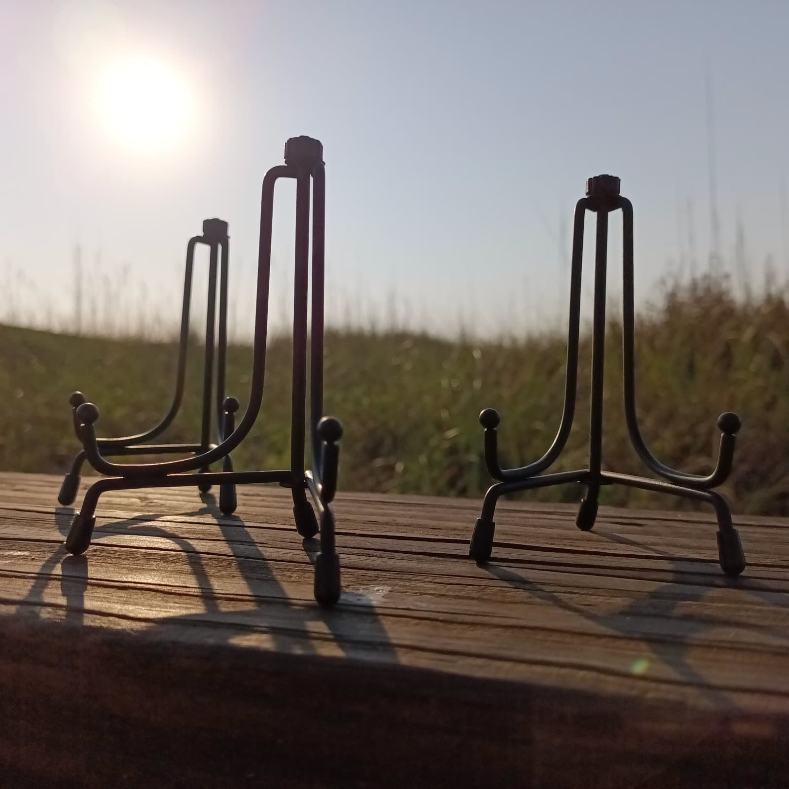 Megalodon Shark Tooth Display Stand - Metal, Adjustable, for 4in + shark teeth 2