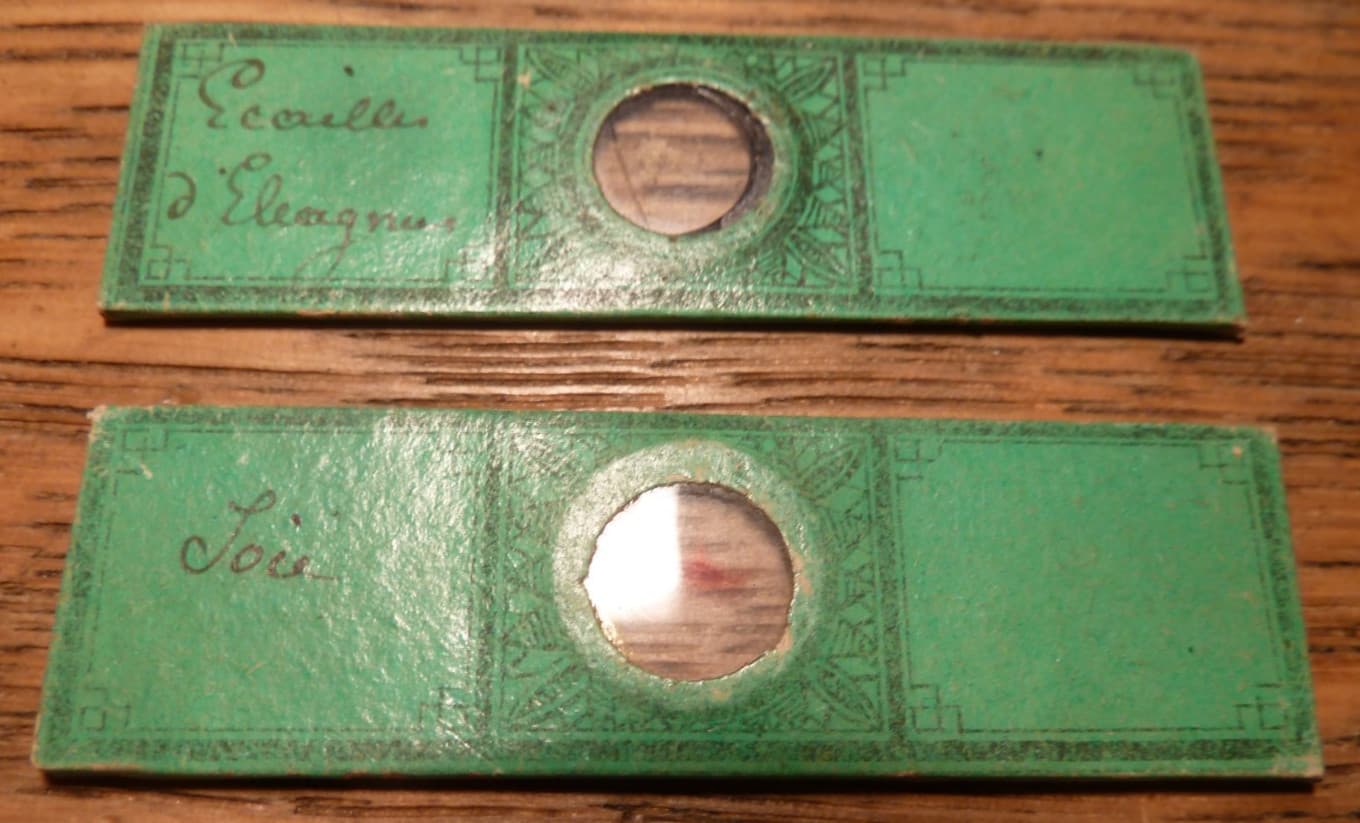 Antique French Field Microscope Grossissement Obtenu 30 Fois w/tweezers, 2 Slide 6