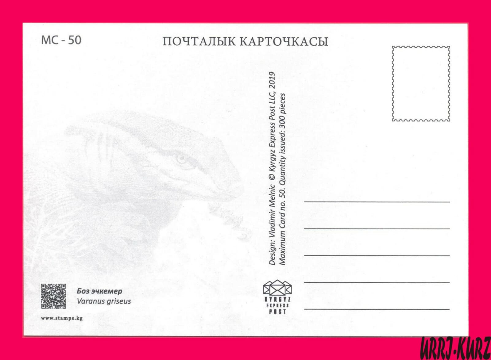 KYRGYZSTAN 2019 Nature Fauna Animal Reptile Amphibian Varanus Maxicard Card 2