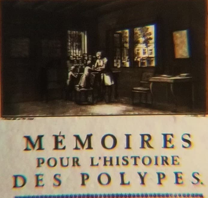 Scene from Trembley's The Polyp 1744 Microphotograph Microscope Slide