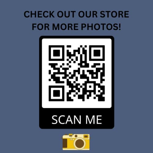 BUZZ ALDRIN APOLLO 11 ASTRONAUT ON THE MOON AUTOGRAPHED 8X10 NASA PHOTO 3