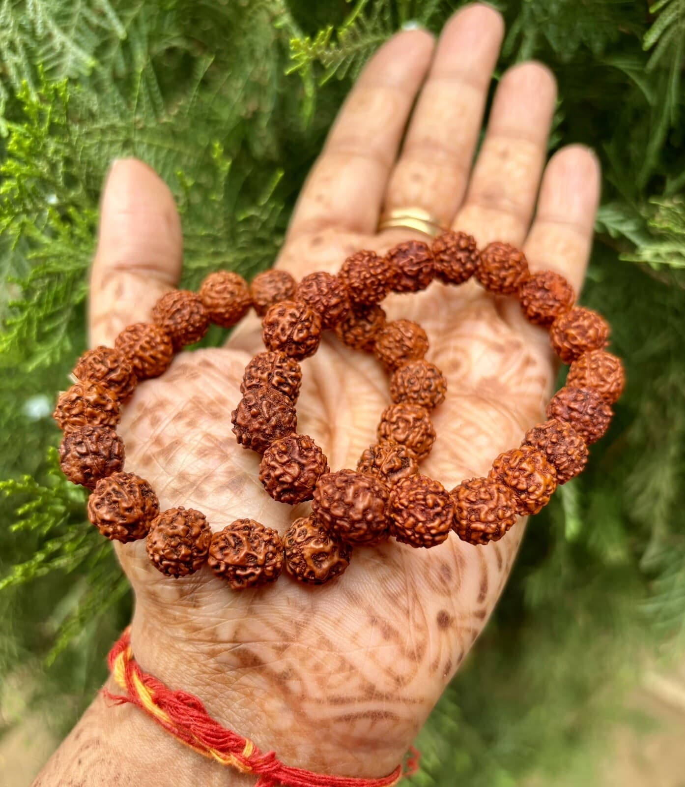 2 Pc Natural RUDRAKSHA 5 mukhi Rudraksh Bracelet Adjustable Unisex, 9-10 mm Size 2