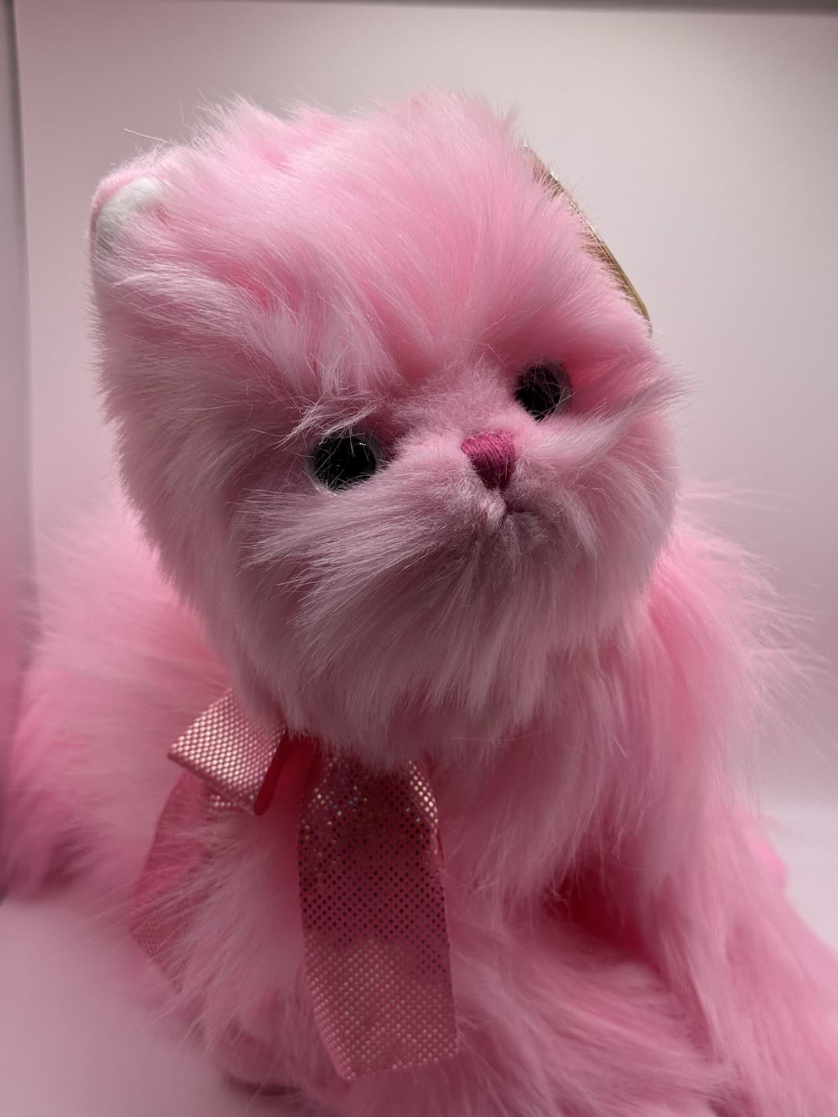 TY Pinkys - ORCHID the Persian Kitty Cat (12 inch) MWMT Plush Stuffed Animal Toy 3