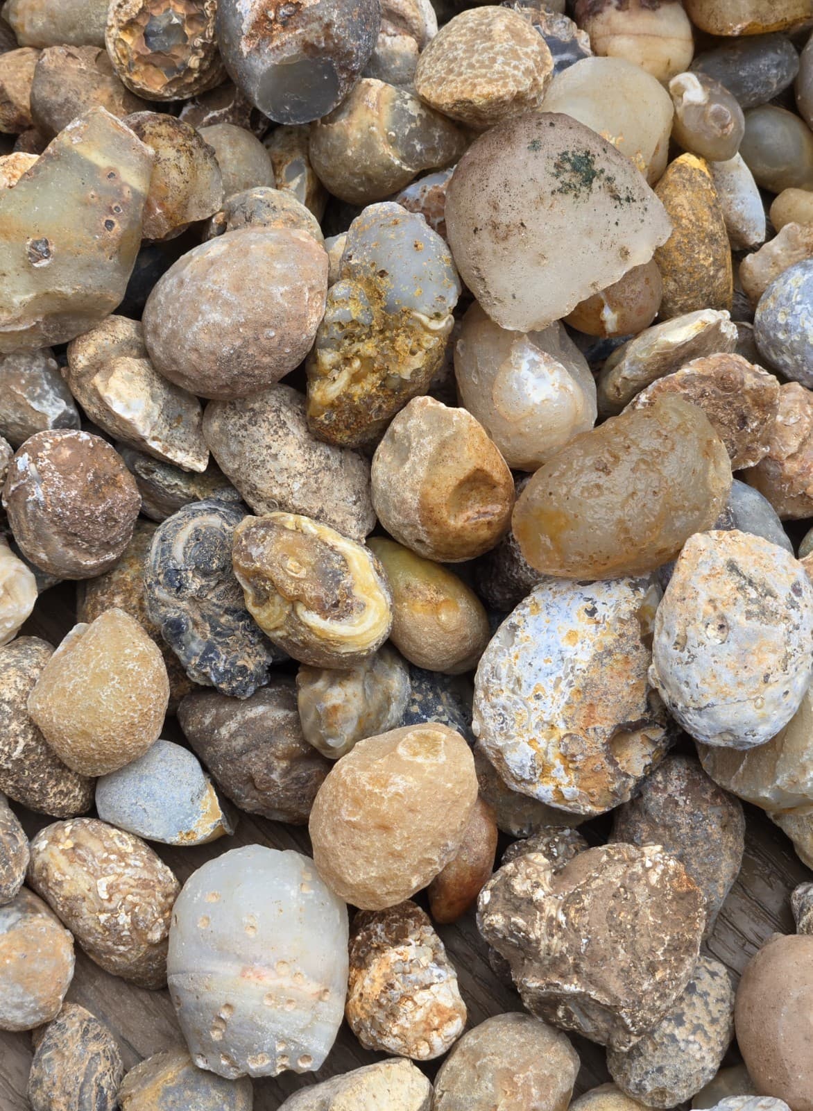 Oco Agate Geodes Whole - Mine Run Rough - 1 Pound Lb - Mostly Solid Agate 3