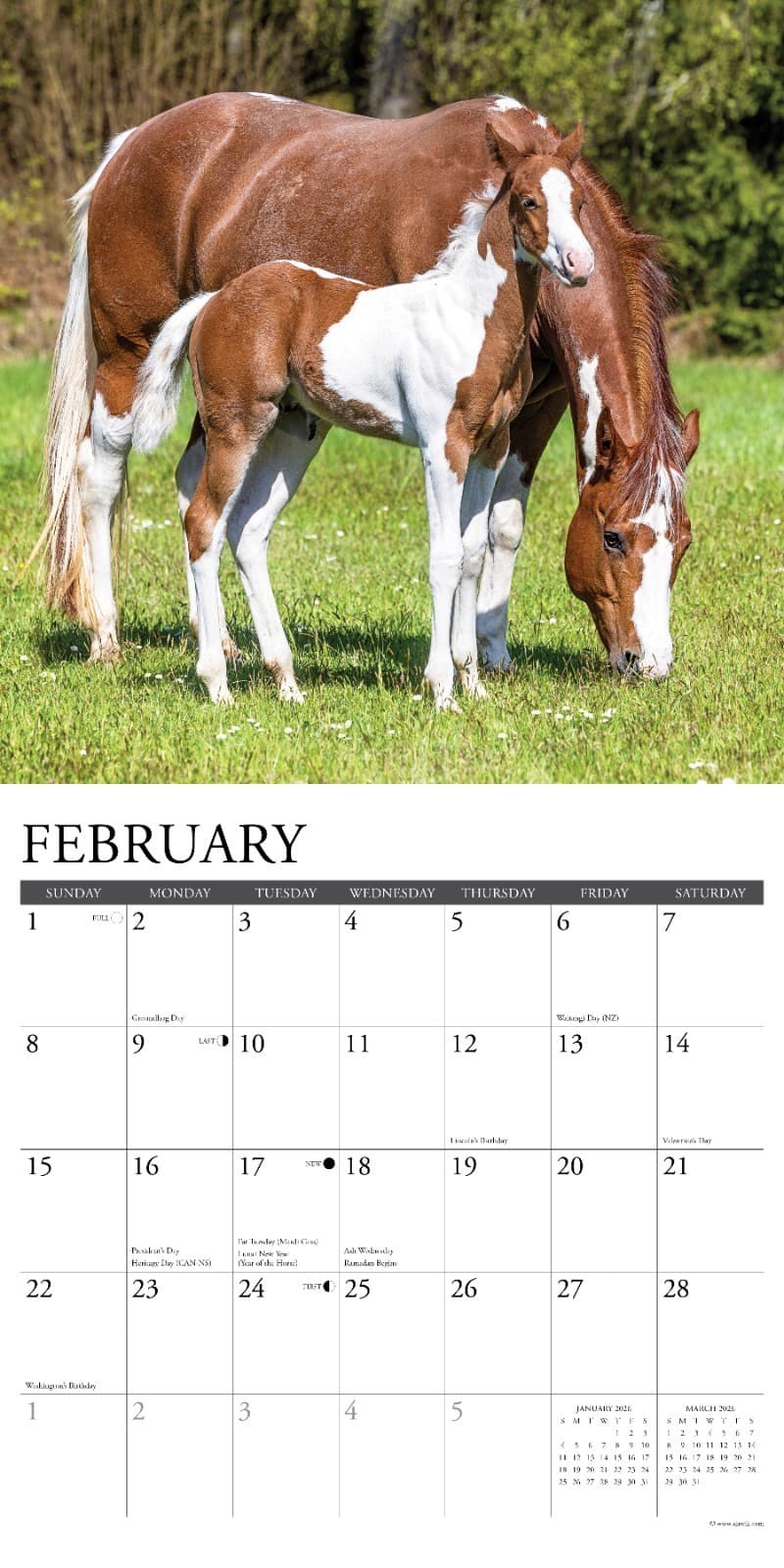 Horses 2026 12" x 12" Wall Calendar (free shipping) 3