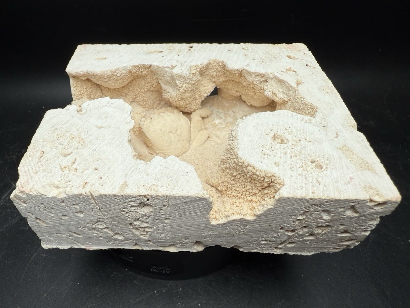 2.3” Inch Amazing Fossilized Potamon Crab In Travertine Turkey UV Reactive 3