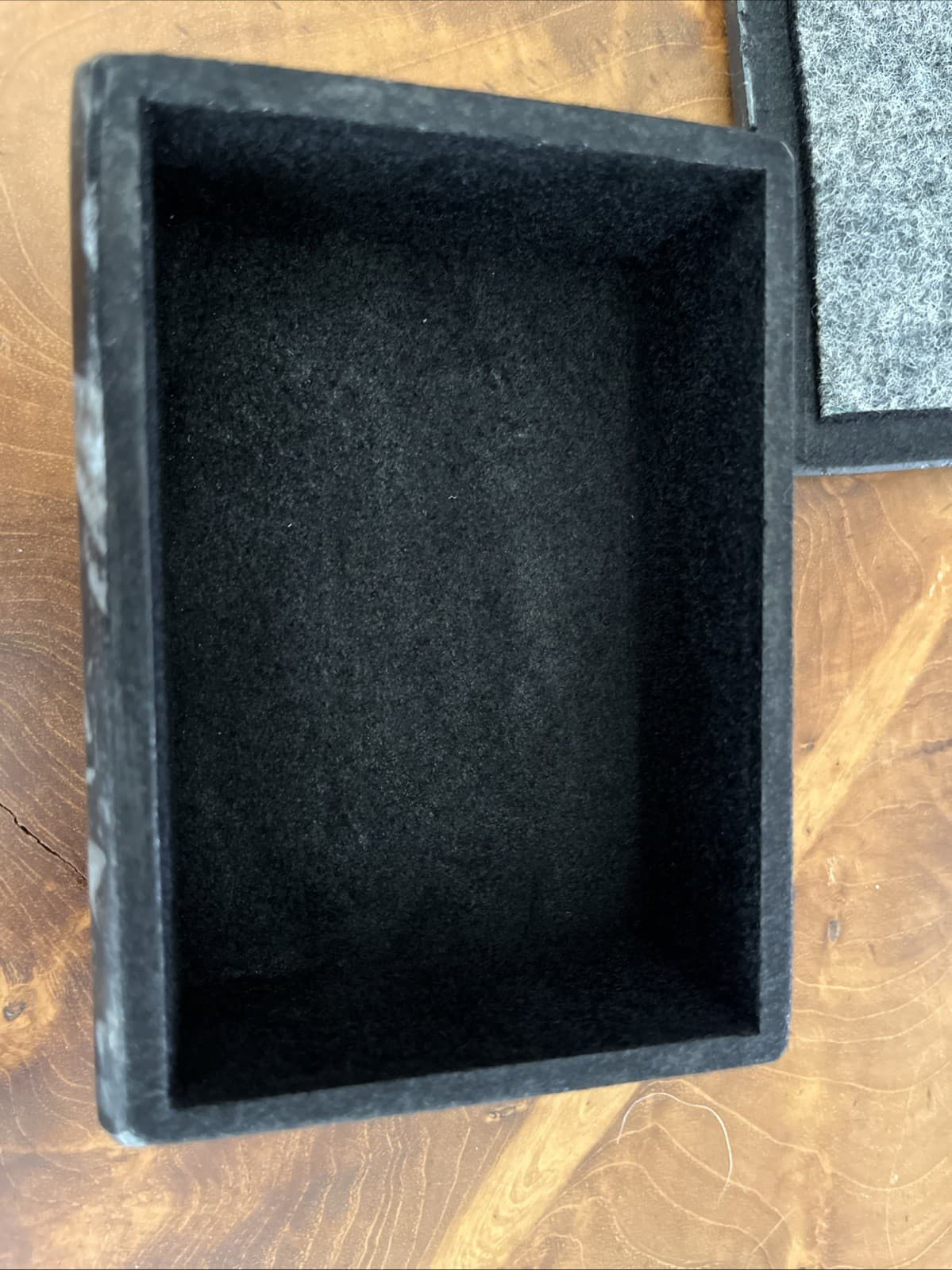 Display Box with 400 Million Years ORTHOCERAS and Ammonite Shell Fossils 5