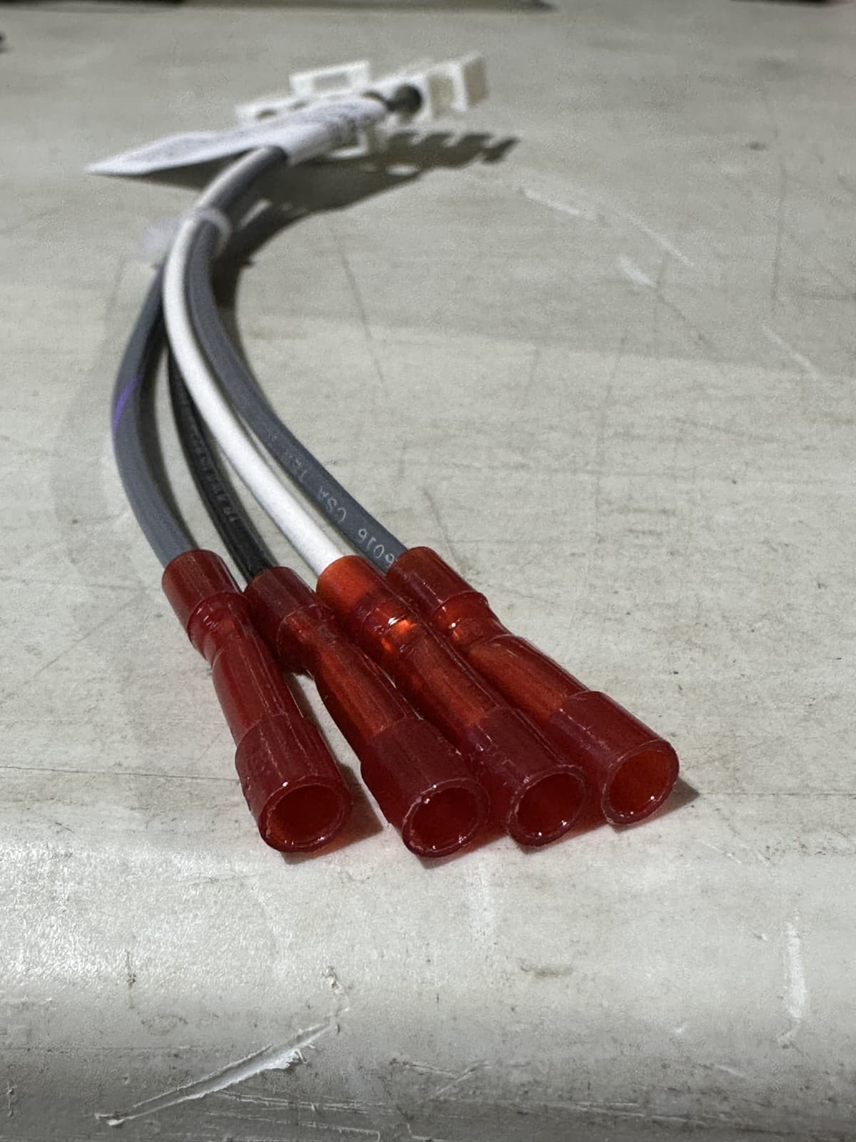 H2343800 | Laars Wire Harness for Fenwal Burner Controller - MT2 Models 500-2000 3