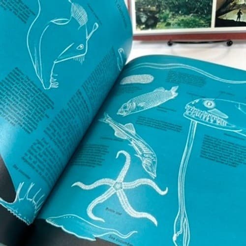 VTG 1975 Visual Educational Books Beneath The Oceans & The Human Body Kids 6