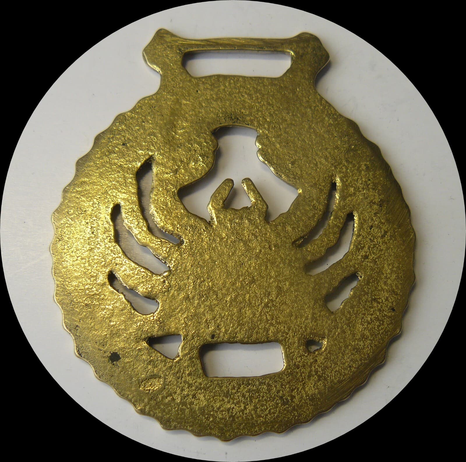 CANCER     Astrology horse brass  (N748) 2