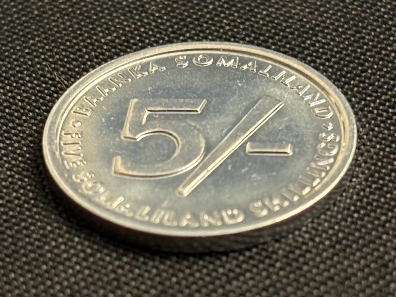 2005 Republic of Somaliland 5 Shillings Coin Elephant Baby Calf Animal Wildlife 4