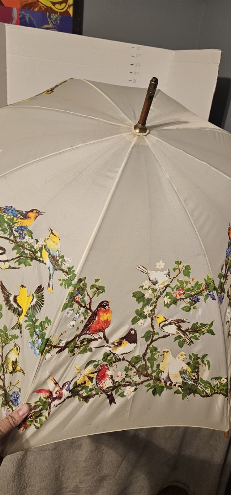 Rare 1988 Nylon The Nature Company Bird Umbrella Vintage Works Wooden Handle 6