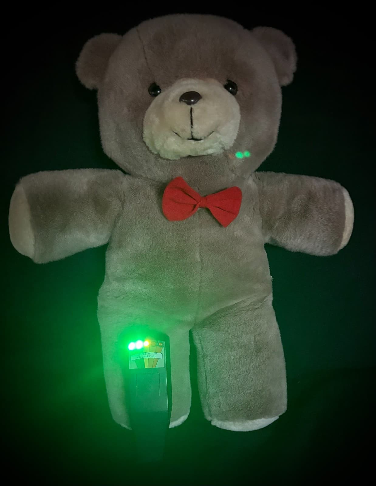 Haunted Large Vintage Bear 20" - Boy, PAUL, Age 10 ~ACTIVE~ Likes Toy Trucks 2