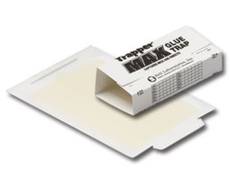 12 Trapper Max Mouse Mice Small Rodent Insect Spider Control Glue Board Traps