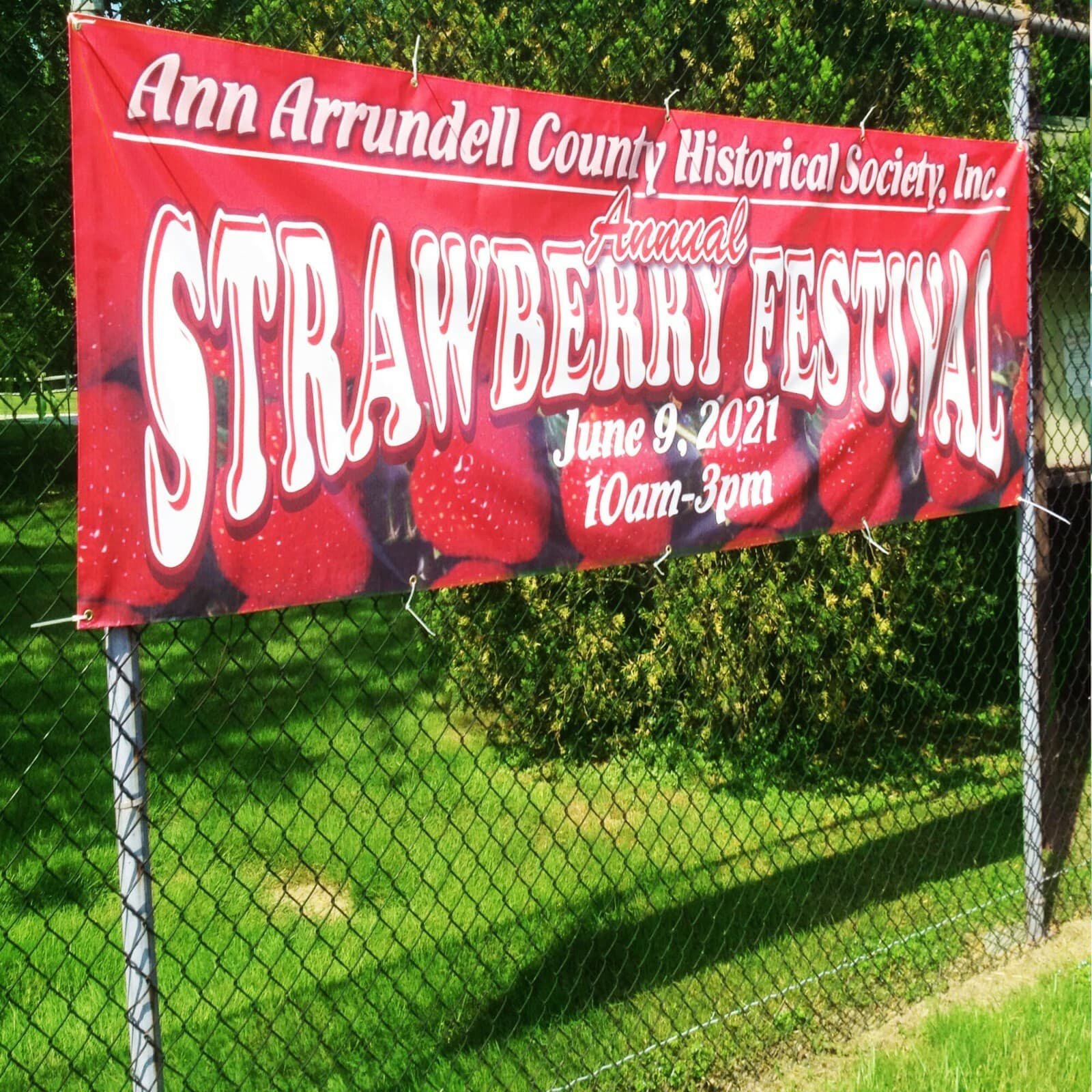 Anley Custom Vinyl Banner - 18oz Heavy Duty Vinyl Sign - Personalized Banner 5