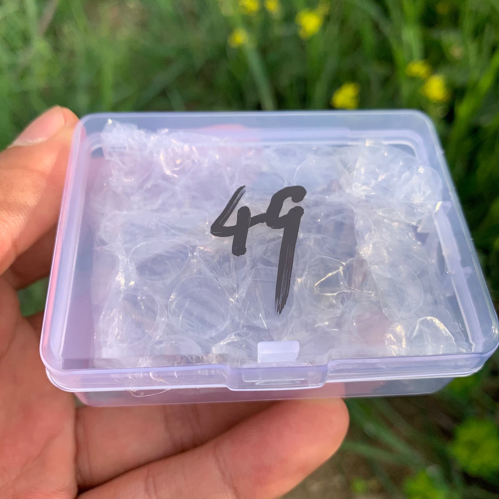 Jurassic Crab Fossils Dinosaur Age 6