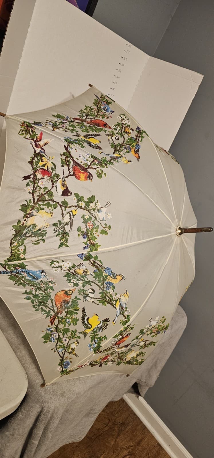 Rare 1988 Nylon The Nature Company Bird Umbrella Vintage Works Wooden Handle
