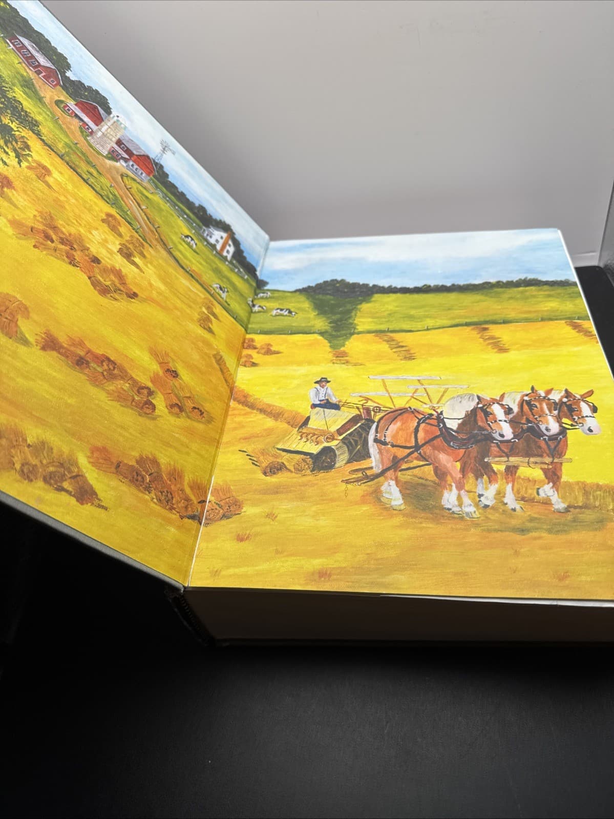 Ohio Amish Directory, Holmes County and Vicinity, 2020 P1 4